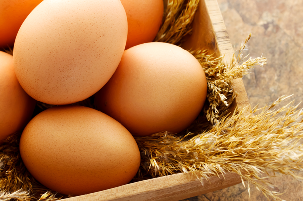 Ovos Combatem Diabetes Tipo 2